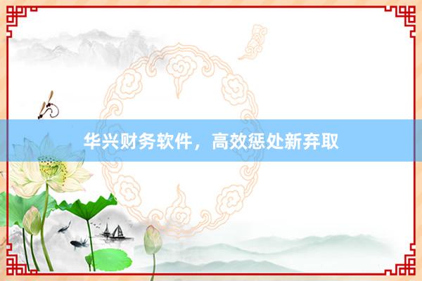 华兴财务软件，高效惩处新弃取